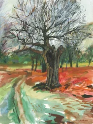 Árvore velha, Richmond Park, 2019 (lápis aguarela e marcador de tinta acrílica sobre papel)