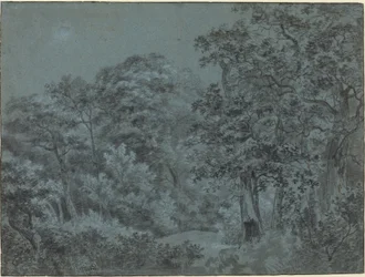 Nos bosques de Haia