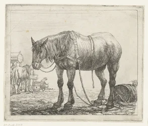 Cavalo de trabalho em repouso
Vários animais (título da série)
Abelhas do papagaio (título da série)