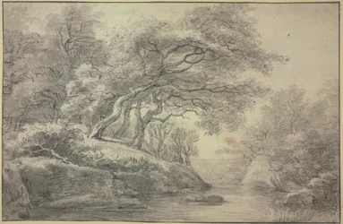 Ribeiro na orla da floresta