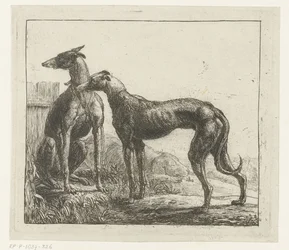 Dois galgos Animais diferentes (título da série) Kite Bugs (título da série)