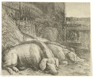 Dois porcos
Vários animais (título da série)
Abelhas do papagaio (título da série)