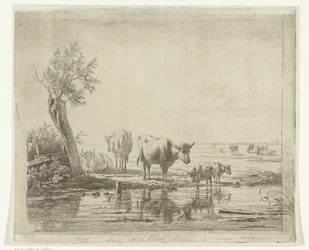 Paisagem de pastagem com vacas perto da água