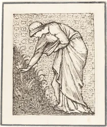 Senhora colhendo flores