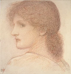 Estudo da cabeça de uma mulher, virado para a esquerda, 1886