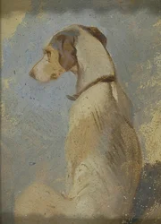 Estudo de um Greyhound