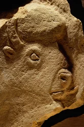 Escultura em baixo-relevo de um bisonte, a pedra calcária tem dezasseis mil anos.