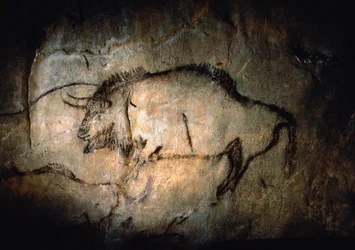 Bisonte no Salon Noir da gruta de Niaux