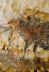 Pormenor da pintura gravada de cabeças de cavalo, Lascaux.