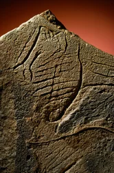 Gravura elegante de um perfil humano encontrada num cache de calcário pré-histórico.