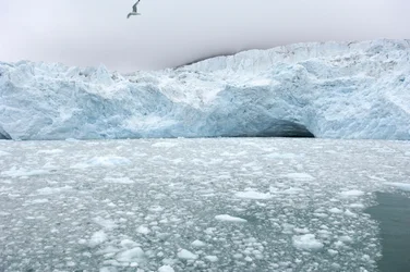 Pedaços de gelo de glaciares próximos flutuam no mar Ártico, Ilhas Svalbard, Noruega, 2022 (foto)