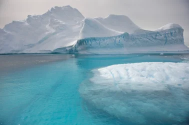 Icebergues a flutuar na Península Antárctica, 2022 (foto)
