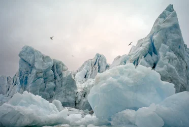Icebergues no mar Ártico em redor da ilha de Spitsbergen, Noruega, 2022 (foto)