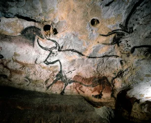 Arte paleolítica de touros, veados e cavalos em paredes de cavernas de calcite, Lascaux, França, 2022 (foto)