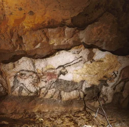 O Unicórnio Mítico de Lascaux pintado há mais de 17.000 anos reveste a calcite branca...