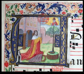 Ms 432 Historiated inicial A, de um temporal usado pelas Irmãs da Congregação das Carmelitas de Bruges, escrito por Irmã Margarita Bruynewe, 1505 detalhe de velino de 215014