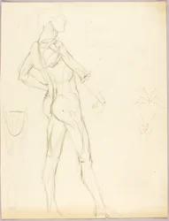 Estudo anatómico