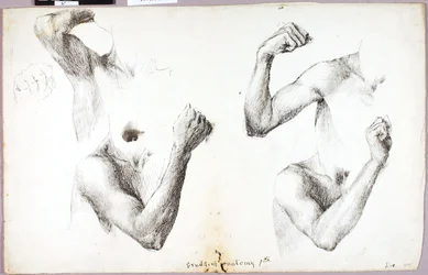 Estudos de quatro braços, #1