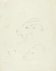 Cabras