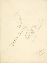 Cavalo