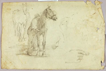 Cavalo e cavaleiro