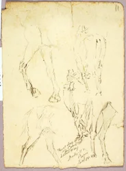 Cavalos