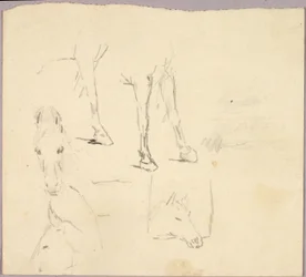 Cavalos