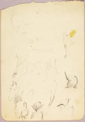 Cavalos e perus