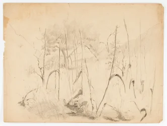 Paisagem