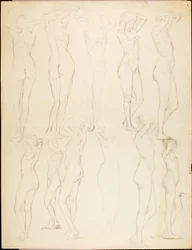 Nus