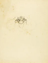 Pélvis