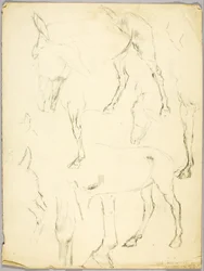 Estudo de retrato, Estudo de cavalo
