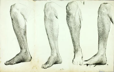 Estudo da Anatomia, #5