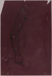 Torso, estudo para Monumento Equestre