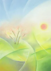 primavera