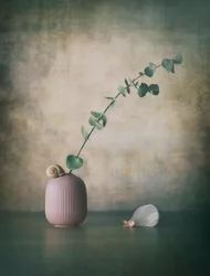Vaso «Eucalyptus Snail Pink»