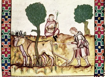 Fol.237r Um fazendeiro ensinando seu filho a arar um campo