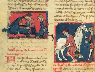 Ms 214 fol.38r Tratamento de um cavalo com sarna, de Libro de Menescalcia y Albeyteria por Juan Alvarez, c.1390