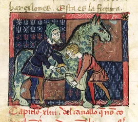 Ms 214 fol.46v Calçando um cavalo, de Libro de Menescalcia e Albeyteria por Juan Alvarez, c.1390