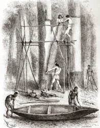 Índios nativos construindo uma canoa nas margens do rio Oyapock ou Oiapoque, América do Sul (gravura)