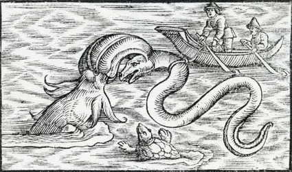 Monstros marinhos, 1511