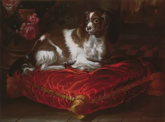 Spaniel em um coxim