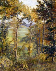 Paisagem arborizada em Tibermont, Neuville Les Dieppes