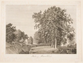 Parte de Møns Klint