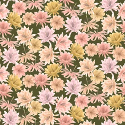 Padrão Mojave Desert Blooms, 2021 (lápis de grafite e digital)