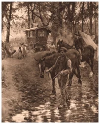 Nômades, 1903.