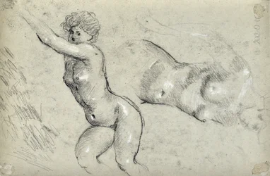 Estudo das Mulheres (desenho)