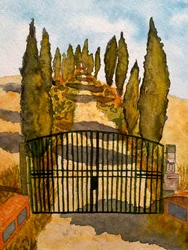 Toscana - Asciano