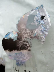 Árvores de inverno abstratas
