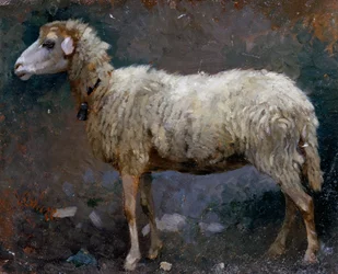 Ovelha de perfil, pintura de Stefano Bruzzi (1835-1911), óleo sobre papelão